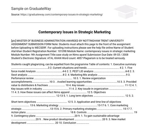 ⇉contemporary Issues In Strategic Marketing Essay Example Graduateway