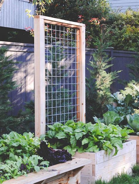 24 Easy Diy Garden Trellis Ideas And Plant Structures A Piece Of Rainbow