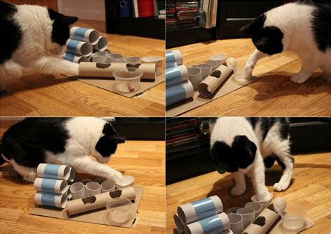 Diy Puzzle Feeder For Cats Diy Cat Toys Cat Diy Cat Puzzle
