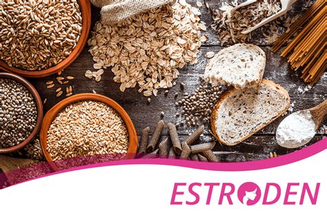 Health Benefits Of Whole Grains Estroden