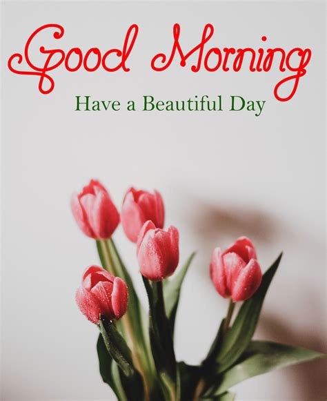 Goodmorning Wallpaper With Quotes