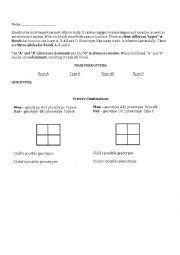 The ab+ blood type is known as the universal receiver: Genetics worksheets