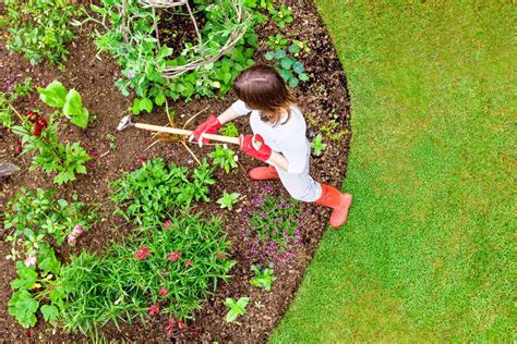 7 Fast Growing Plants For Your Garden Martha Stewart