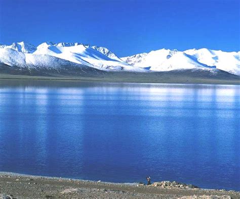 Qinghai Lake Must See Attraction Windhorsetour China Tibet Travel