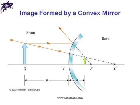 31 Ray Diagram For Concave Mirror Wiring Diagram Database