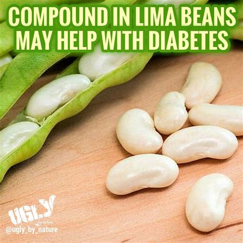 Diabetes And Lima Beans Can Diabetics Safely Consume Them Fruit Faves