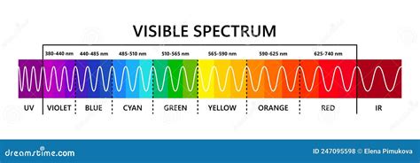 Visible Light Spectrum Infared And Ultraviolet Optical Light