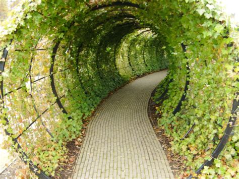 The Alnwick Poison Garden Is The Most Dangerous Garden In The World