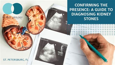 Confirming The Presence A Guide To Diagnosing Kidney Stones St Pete