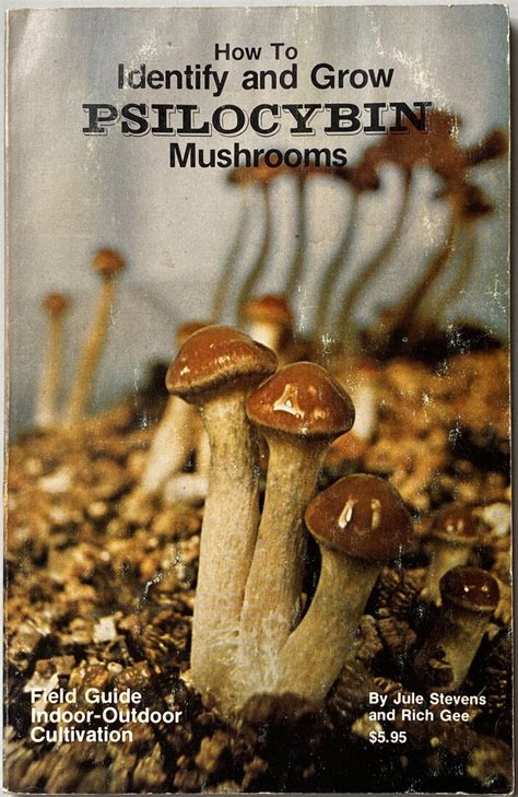 How To Identify And Grow Psilocybin Mushrooms