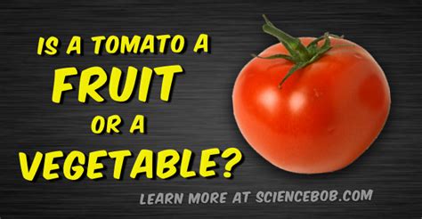 Is A Tomato A Fruit Or A Vegetable Sciencebob Com