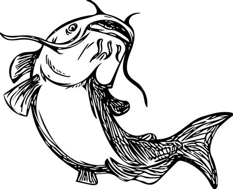 Jumping Mud Catfish Illustrated In Black And White Vector Jumping Up