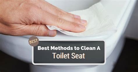 How To Properly Clean A Toilet Seat Kitchen Infinity