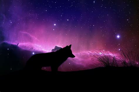 4k Wallpaper For Pc 1920x1080 Beat Wolf