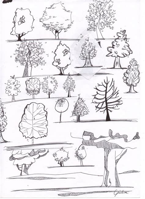 Architecture Drawing Trees On Behance