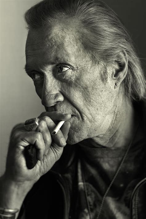 Some Old Pictures I Took David Carradine