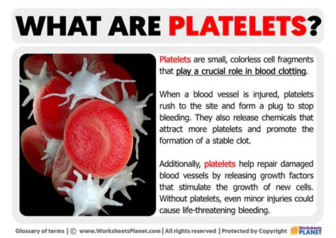 What Are Platelets Definition Of Platelets