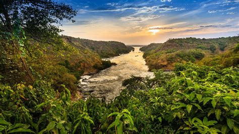 Murchison Falls National Park Uganda Wild Safari Guide