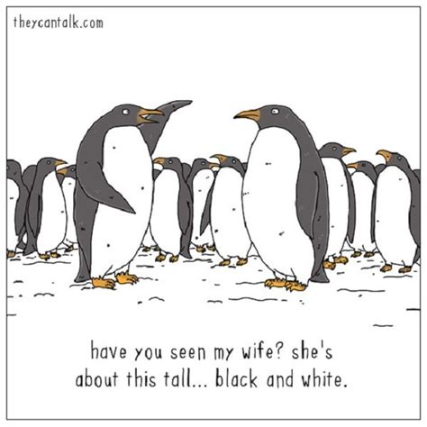Funny Animal Cartoons Funny Animal Comics Penguins Funny Best