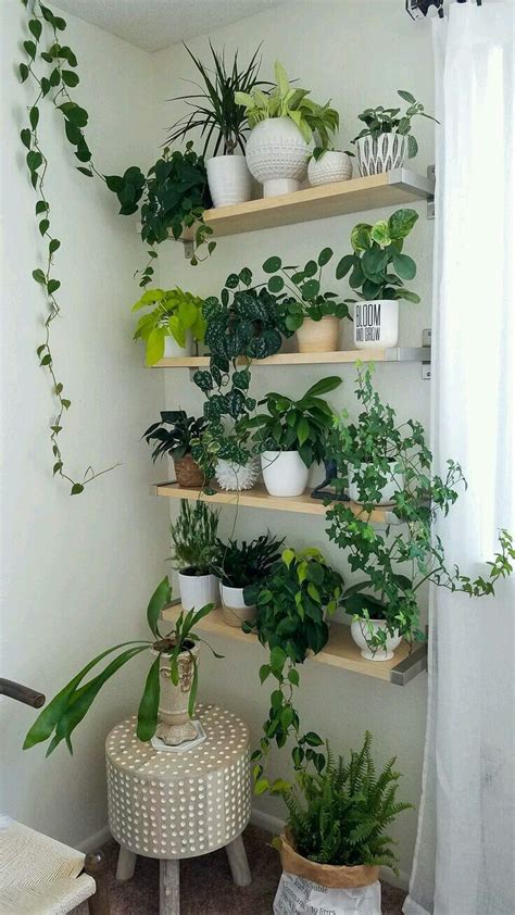 Shop our plant pots, flowerpots, cachepots, planters, and hanging planters to create a lush and stylish decor that reflects your tastes to a t. Pin by spiffyjiffytiffy on House | Plant decor indoor ...