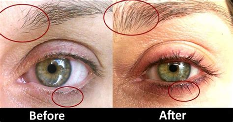 Did it take you a long time to find a job? How to naturally grow eyelashes long overnight