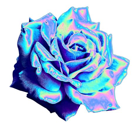 Aesthetic Flower Png Free Image Png All Png All