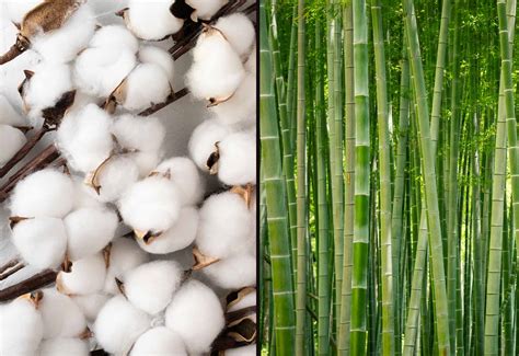 Fibra de Bambú vs Algodón Cuál es mejor Abanderado