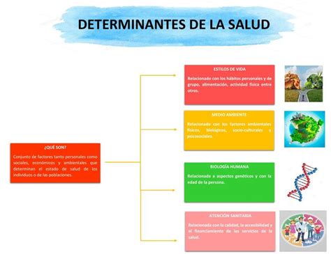 Determinantes De La Salud Salud Salud Pública Udocz