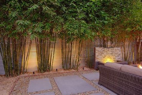 Bamboo Garden Ideas Backyards30 Modern Garden Landscaping Modern