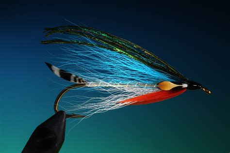 Fly Fishing Sport Wallpapers Hd Desktop And Mobile