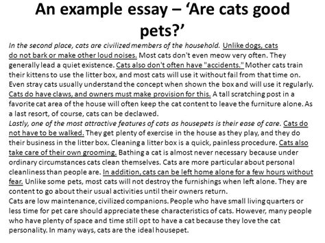 Which Make Better Pets Cats Or Dogs Opinion Essays