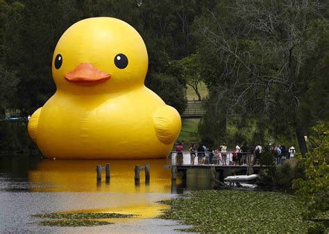 Giant Rubber Duck Sparks Sydney Festival[3] Cn
