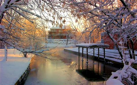 Images Nature Winter Seasons