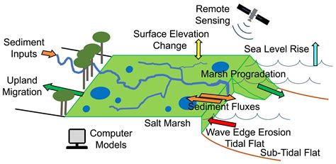 Salt Marsh Dynamics In A Period Of Accelerated Sea Level Rise