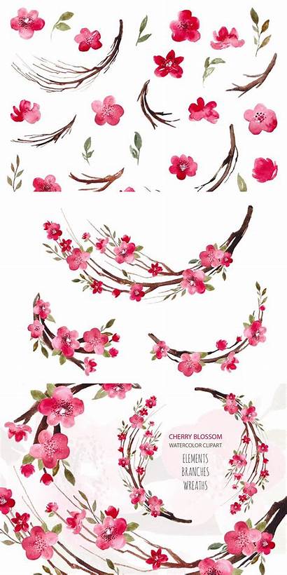 Cherry Blossom Tree Clipart Watercolor Sakura Graphic