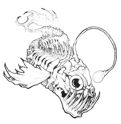 Let's explore some of the creatures that live in the deep sea. Angler Fish Bone Anatomi Coloring Pages : Best Place to Color