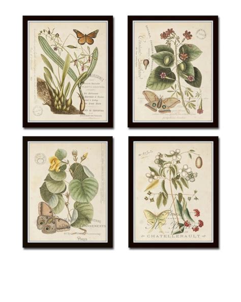 Vintage Butterfly And Botanical Print Set No1 Giclee Art Etsy