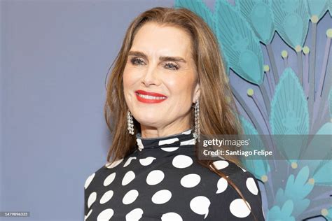 Brooke Shields Attends The 2023 Tribeca Ball At New York Academy Of