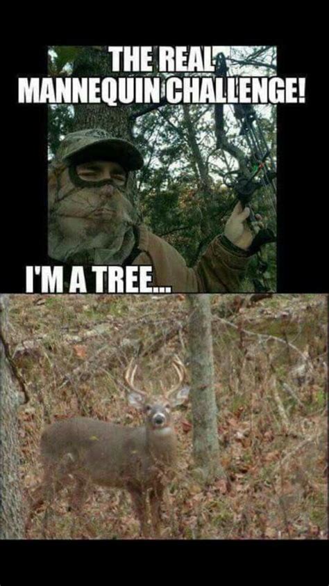 Funny Quotes For Deer Hunters Shortquotescc