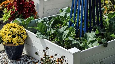 Beautiful And Practical Painted Raised Beds For Your Garden Simplify