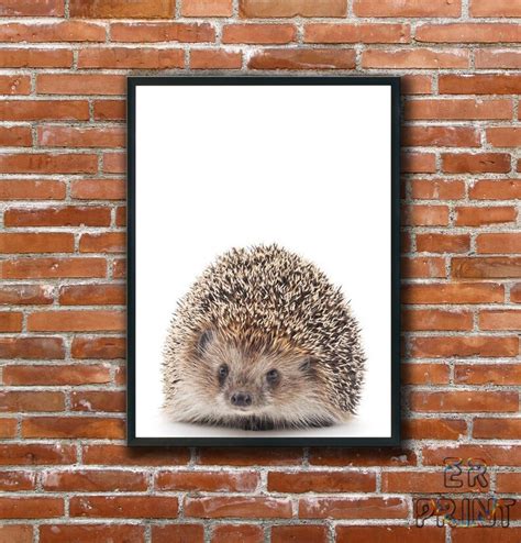 Hedgehog Print Hedgehog Decor Woodlands Animal Wall Art Etsy