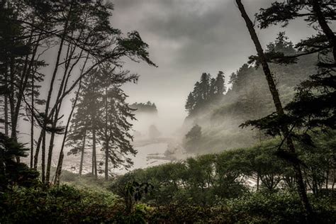 Ruby Beach Foggy Gray Olympic National Park Washington Flickr