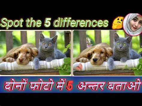 PUZZEL GAME CHALLENGE Spot The 5 Differences Find Answer The