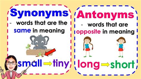Synonyms And Antonyms Meaning And Examples Lesson With Quiz Youtube