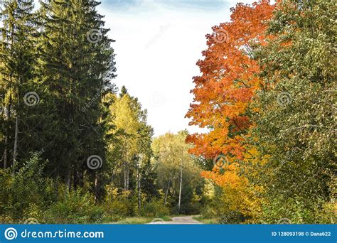 Colorful Autumn Landscape In Sunny Day Stock Photo Image Of Amazing