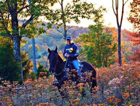 Fall Horseback Riding In Tennessee Horseback Riding Horseback Fall