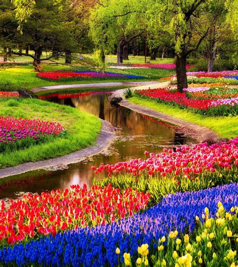 A trip to pennsylvania's neverending tulip field will make your spring complete. 14 Reasons to visit the Netherlands in Spring! - Netherlands Tourism