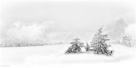 Schwarzwaldwinter Foto And Bild Landschaft Jahreszeiten Winter Bilder