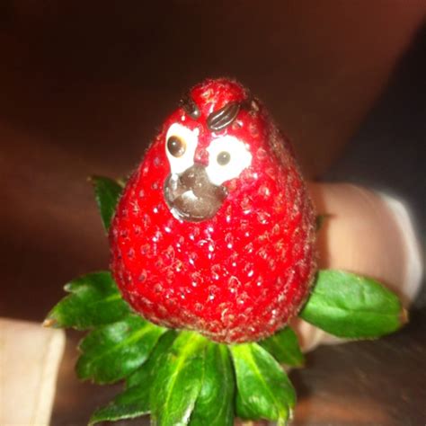 Angry Strawberry Bird Strawberry Fruit Food