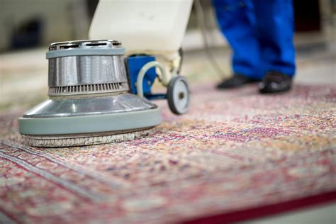 Why You Should Need To Get The Professional Carpet Cleaning